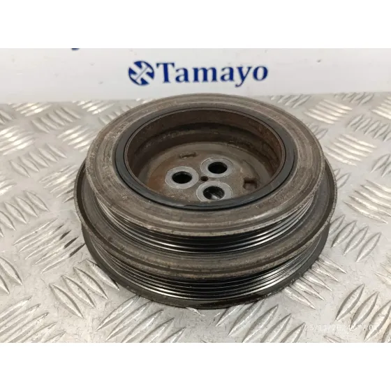 Polea Ciguenal para Peugeot Boxer Furgon