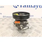 Bomba Direccion para Citroën Nemo