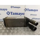 Intercooler para Peugeot 207