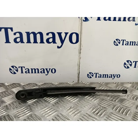Brazo Limpia Trasero para Mini Countryman (F60)