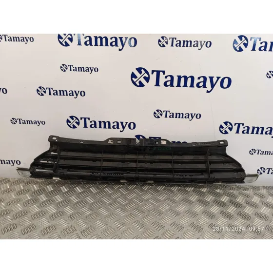 Rejilla Delantera para Mini Mini (R56)