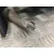 Retrovisor Derecho para Nissan Almera Tino (V10M)