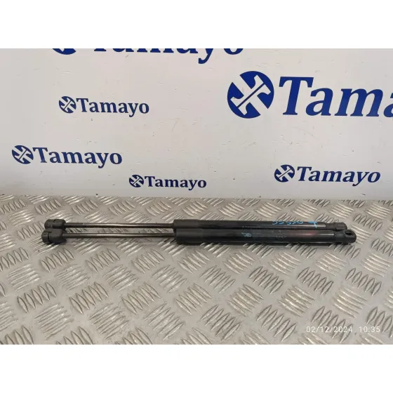 Amortiguadores Maletero / Porton para Renault Megane Iii Berlina 5 P