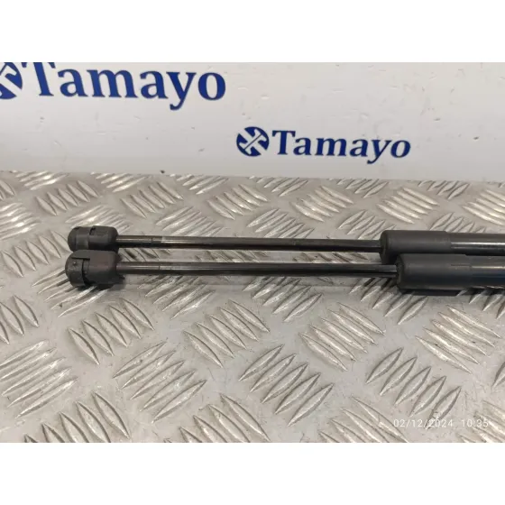 Amortiguadores Maletero / Porton para Renault Megane Iii Berlina 5 P