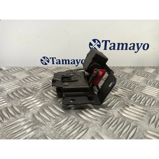 Cerradura Maletero / Porton para Bmw Serie 3 Touring (E46)