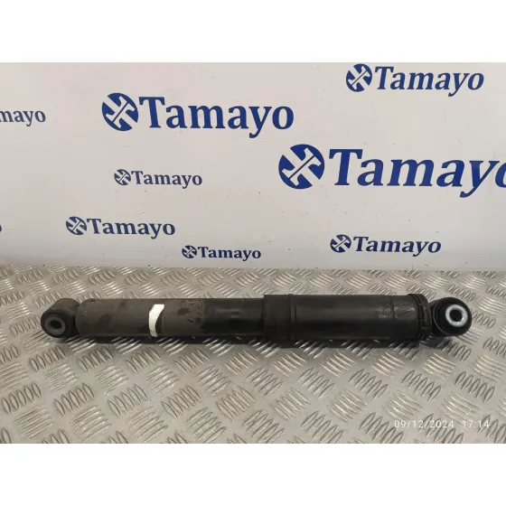 Amortiguador Trasero para Opel Movano B Kasten/Combi