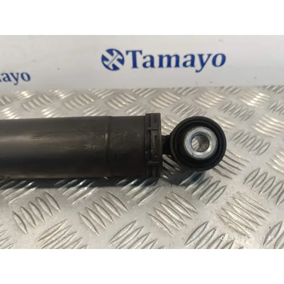 Amortiguador Trasero para Opel Movano B Kasten/Combi