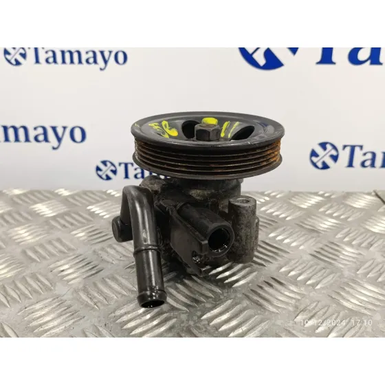Bomba Servodireccion para Hyundai Matrix (Fc)