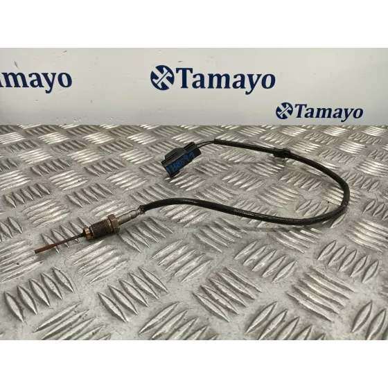 Sensor para Ford Focus Berlina (Cap)