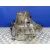 Caja Cambios para Honda Accord Berlina (Cl/Cn)