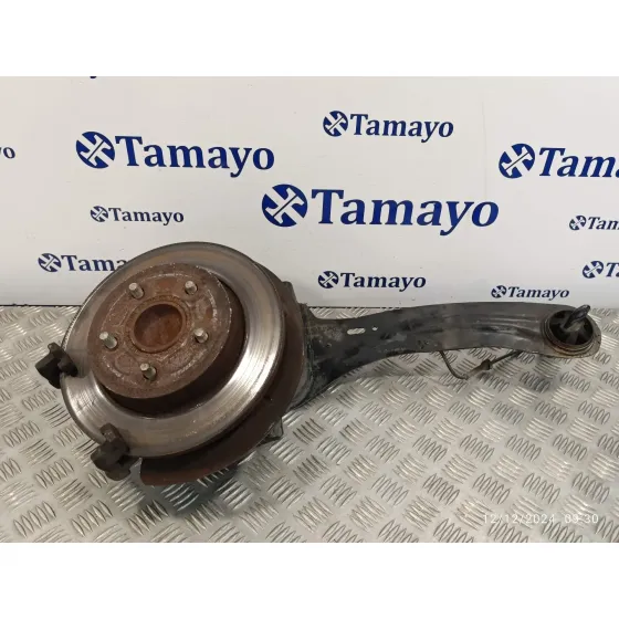 Mangueta Trasera Izquierda para Ford Focus C-Max (Cap)