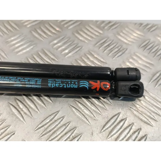 Amortiguadores Maletero / Porton para Citroën Xsara Berlina