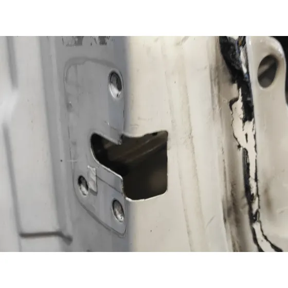 Puerta Delantera Izquierda para Renault Kangoo (F/Kc0)