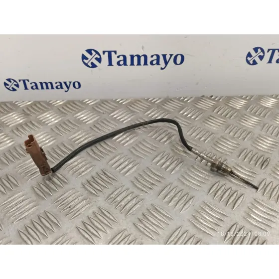 Sonda Lambda para Peugeot 308