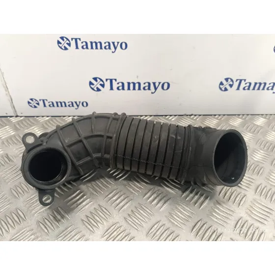 Tubo para Audi A4 Berlina (8E)