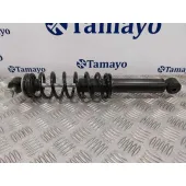 Amortiguador Trasero para Ligier Js60