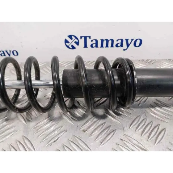 Amortiguador Trasero para Ligier Js60