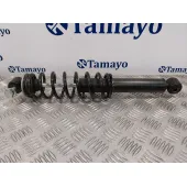 Amortiguador Trasero para Ligier Js60