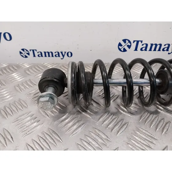 Amortiguador Trasero para Ligier Js60