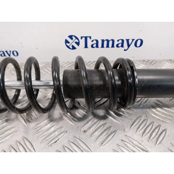 Amortiguador Trasero para Ligier Js60