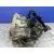 Caja Cambios para Kia Picanto