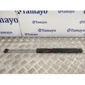 Amortiguadores Maletero / Porton para Citroën C8
