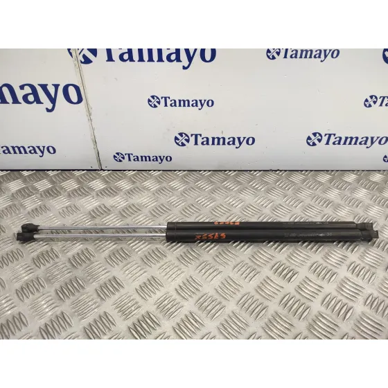 Amortiguadores Maletero / Porton para Citroën C8