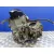 Caja Cambios para Renault Kangoo (F/Kc0)