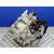 Caja Cambios Automatica para Toyota Yaris Cross