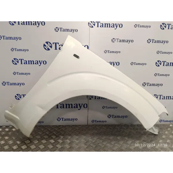 Aleta Delantera Derecha para Nissan Pathfinder (R51)