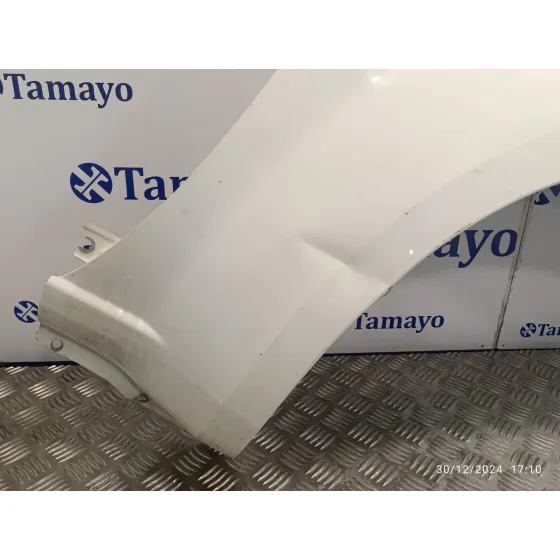Aleta Delantera Derecha para Nissan Pathfinder (R51)