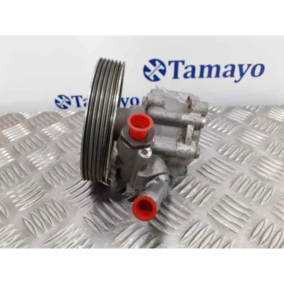 Bomba Direccion para Peugeot 407