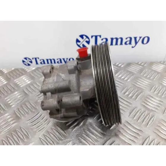 Bomba Direccion para Peugeot 407