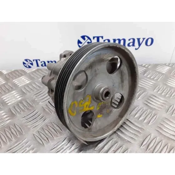Bomba Direccion para Peugeot 407