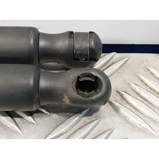 Amortiguadores Maletero / Porton para Renault Scenic Ii