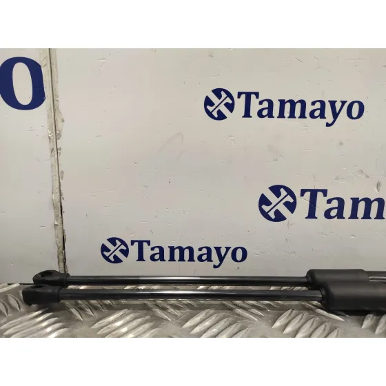 Amortiguadores Maletero / Porton para Toyota Yaris Cross