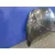 Capot para Peugeot 206+