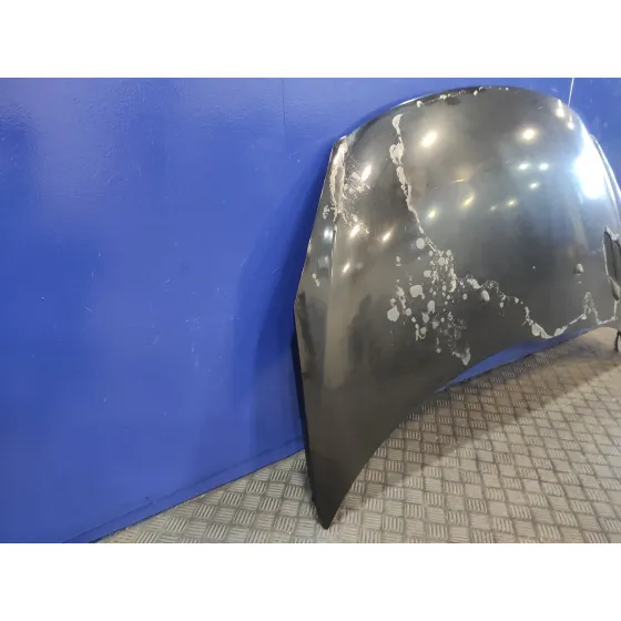 Capot para Peugeot 206+