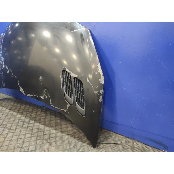 Capot para Peugeot 206+