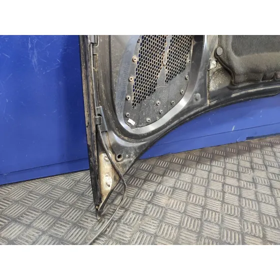 Capot para Peugeot 206+