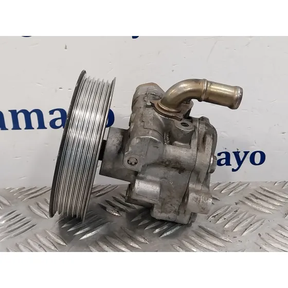 Bomba Direccion para Seat Toledo (1M2)