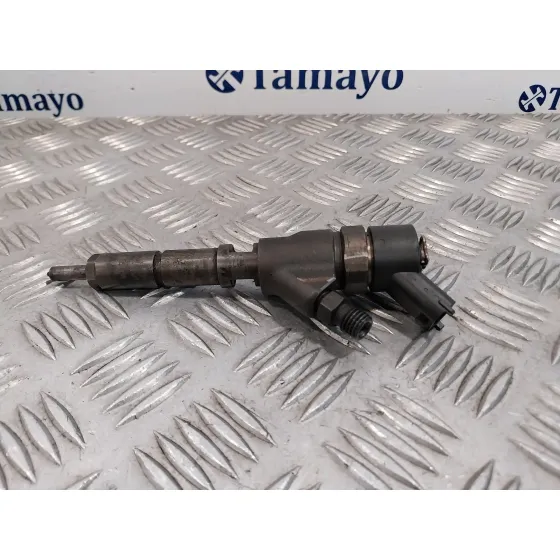 Inyector para Citroën Xsara Picasso