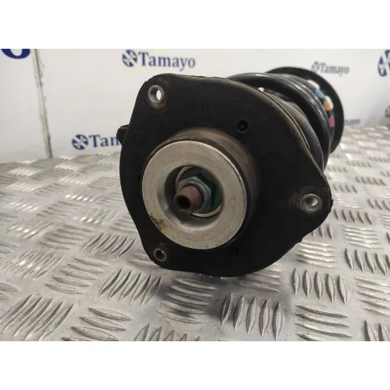 Amortiguador Delantero Izquierdo para Volkswagen Golf Vi (5K1)