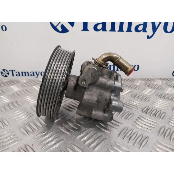 Bomba Servodireccion para Seat Alhambra (7V9)