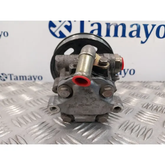 Bomba Servodireccion para Seat Alhambra (7V9)