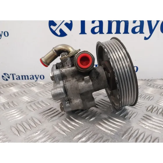 Bomba Servodireccion para Seat Alhambra (7V9)