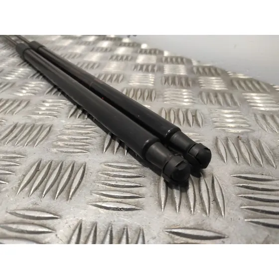 Amortiguadores Maletero / Porton para Nissan Juke (F15)