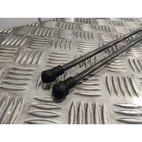 Amortiguadores Maletero / Porton para Nissan Juke (F15)