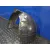 Plastico Paso Rueda Delantero Izquierdo para Seat Toledo (1M2)