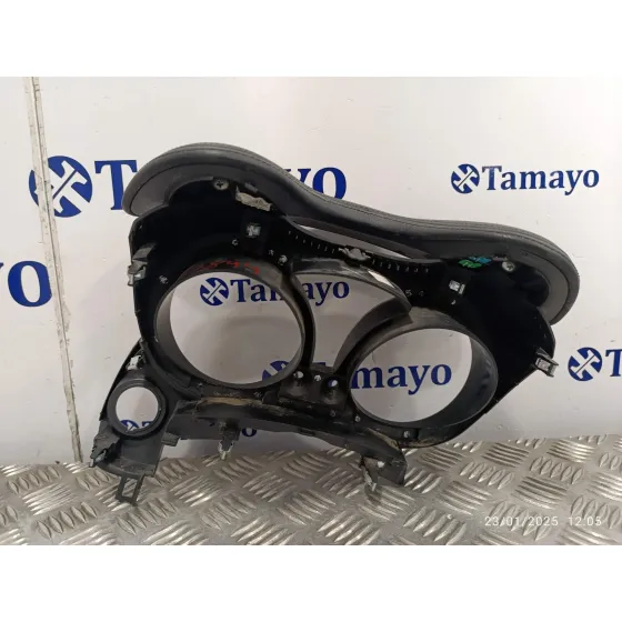 Carcasa Cuadro Instrumentos para Nissan Juke (F15)